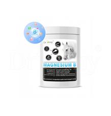 Dromy Magnesium B