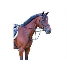 Martingal kožený černý, pony Martingal kožený černý, pony