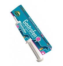 MERVUE GASTROFEN - pasta 80ml