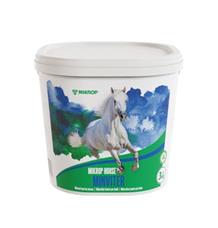 Mikrop Horse Minviter 
