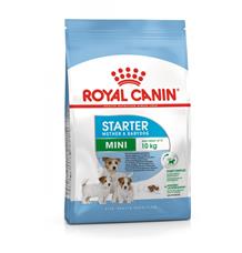 ROYAL CANIN MINI STARTER MOTHER&BABYDOG 8 kg ROYAL CANIN MINI STARTER MOTHER&BABYDOG 8 kg