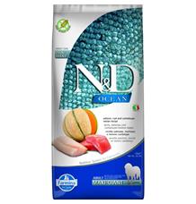 N&D OCEAN Dog GF Salmon, Cod & Cantaloupe Melon Adult Giant Maxi 