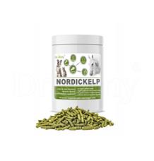 Dromy NordicKelp