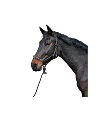 Ohlávka nylonová provazová s 2 m navazujícím vodítkem černá Ohlávka nylonová provazová s 2 m navazujícím vodítkem černá