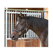 Ohlávka nylonová stájová Mustang modro/černá, 3 Ohlávka nylonová stájová Mustang modro/černá, 3