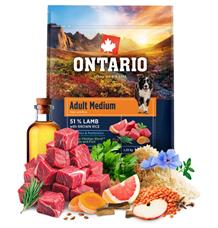 Ontario Adult Medium Lamb & Brown Rice 2x12kg