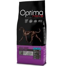 OPTIMAnova dog ADULT GIANT