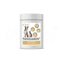 Dromy Pangamin pro psy a kočky 800 tbl.