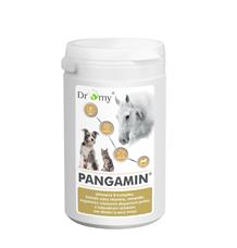 Dromy Pangamin pro psy a kočky MINI 1000 tablet Dromy Pangamin pro psy a kočky MINI 1000 tablet