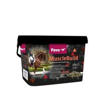 PAVO Muscle Build 3kg