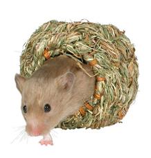 Pelíšek - travní hnízdo MALÉ pro myš, křečka 10cm TRIXIE 1 ks Pelíšek - travní hnízdo MALÉ pro myš, křečka 10cm TRIXIE 1 ks
