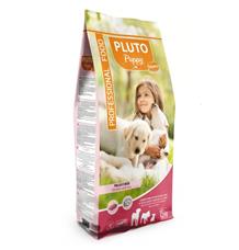 PLUTO Dog Puppy