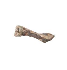 Pochoutka pes kost od šunky  1ks/24cm