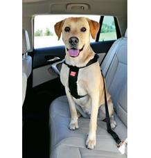 Postroj pes Bezpečnostní do auta Zolux XL Postroj pes Bezpečnostní do auta Zolux XL