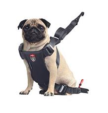 Postroj TRAVEL SAFE S Isofix černý Zolux velikost M