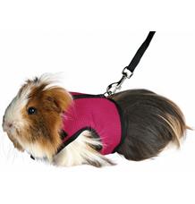 Postroj VESTA s vodítkem pro morče TRIXIE 1 ks Postroj VESTA s vodítkem pro morče TRIXIE 1 ks