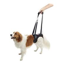 Postroj zvedací Rehab na zadní nohy KRUUSE L Postroj zvedací Rehab na zadní nohy KRUUSE L