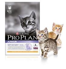 PRO PLAN Cat Kitten Chicken