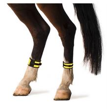 Reflexní pásek černo-žlutý, suchý zip, pro koně