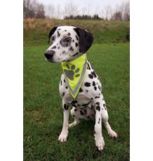 Reflexní šátek pro psa XS-S 22-28 cm Reflexní šátek pro psa XS-S 22-28 cm