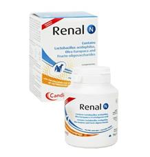Renal N plv 