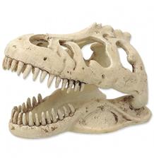 Repti Planet Dekorace T-REX lebka 13,3x8,5x9cm 1 ks