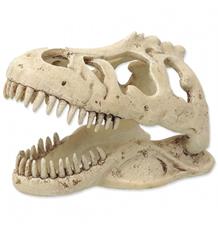 Repti Planet Dekorace T-REX lebka 13,3x8,5x9cm