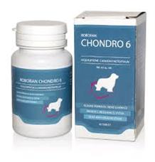 Roboran Chondro 6 Pro Psy