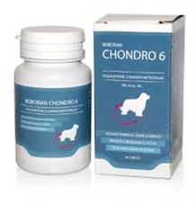Roboran Chondro 6 Pro Psy 180 tbl Roboran Chondro 6 Pro Psy 180 tbl