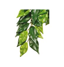 Rostlina EXO TERRA Ficus střední Rostlina EXO TERRA Ficus střední