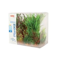 Rostliny akvarijní JALAYA 3 sada Zolux 1 sada Rostliny akvarijní JALAYA 3 sada Zolux 1 sada