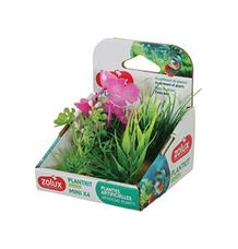 Rostliny akvarijní PLANTKIT 1  Zolux 1 sada MINI/ 4ks