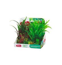 Rostliny akvarijní PLANTKIT 3 Zolux 1 sada M