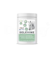 Dromy SELEVINE