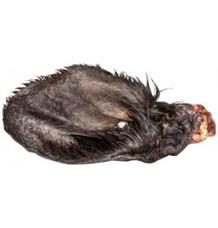 Ucho hovězí, sušené se srstí 1 ks Ucho hovězí, sušené se srstí 1 ks