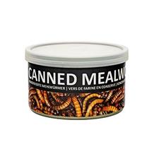 UGF moučný červ konzerva 35g UGF moučný červ konzerva 35g