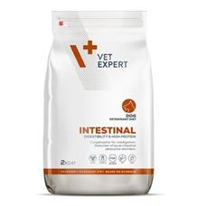 VetExpert VD 4T Intestinal Dog