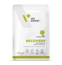 VetExpert VD 4T Recovery Cat kapsa 100g VetExpert VD 4T Recovery Cat kapsa 100g