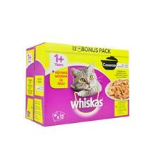 Whiskas kapsa Casserole drůbeží menu v želé 12x85g