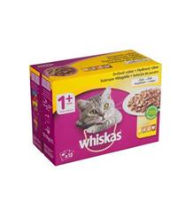 Whiskas kapsa Drůbeží výběr v želé 24x100g