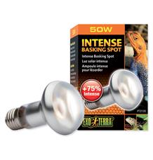 Žárovka EXO TERRA Intense Basking Spot 100 W