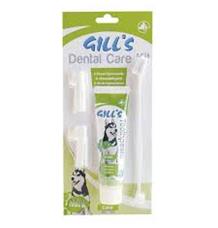 Zubní sada pasta + kartáčky (Gill´s dental care kit)