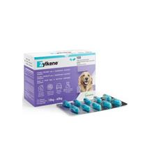 Zylkene 450mg pro vel.psy od 15 kg do 60 kg 100kapslí Zylkene 450mg pro vel.psy od 15 kg do 60 kg 100kapslí