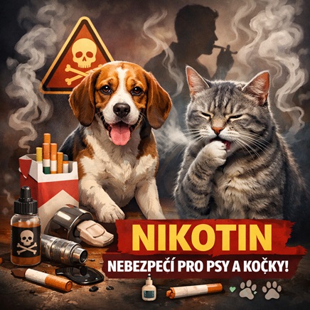 Otrava nikotinem u psů a koček 