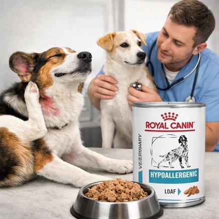 Royal Canin VD Hypoallergenic konzerva