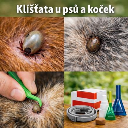 Proč jsou klíšťata pro zvířata nebezpečná?
