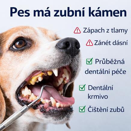 Pes má zubní kámen