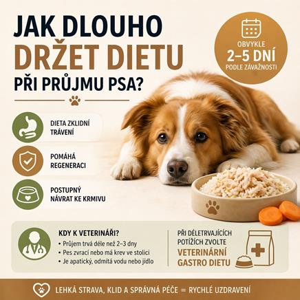 Jak dlouho držet dietu při průjmu psa?
