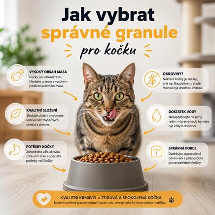 Jak vybrat správné granule pro kočku?