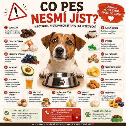 Co pes nesmí jíst?